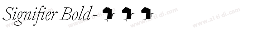 Signifier Bold字体转换